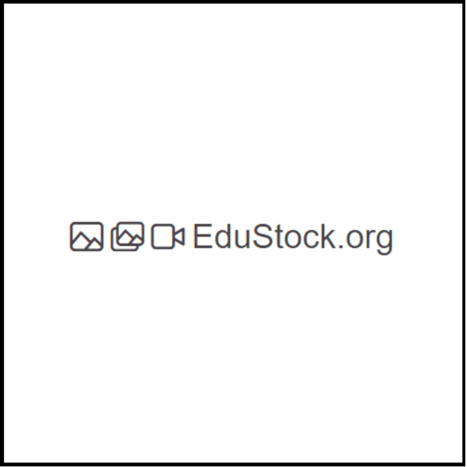 EduStock Logo