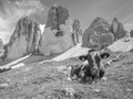 
Là où résident les dieux – Le monde des montagnes en noir et blanc