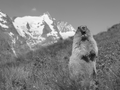 
Là où résident les dieux – Le monde des montagnes en noir et blanc