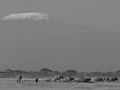 
Là où résident les dieux – Le monde des montagnes en noir et blanc