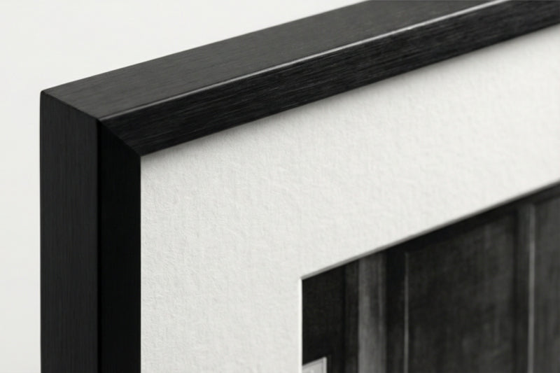 Licence à vie Frame M + Collection privée