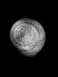 Nautilus – Coquillages et escargots dans la photographie · Alfred Ehrhardt
