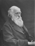 Charles Darwin